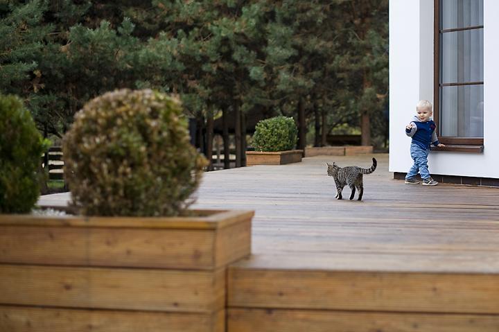 Modra Sikorka Villa Smardzewice Luaran gambar