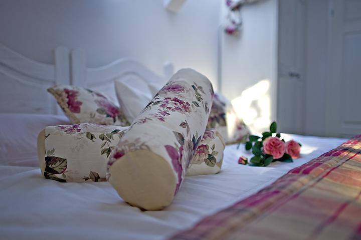 Modra Sikorka Villa Smardzewice Bilik gambar